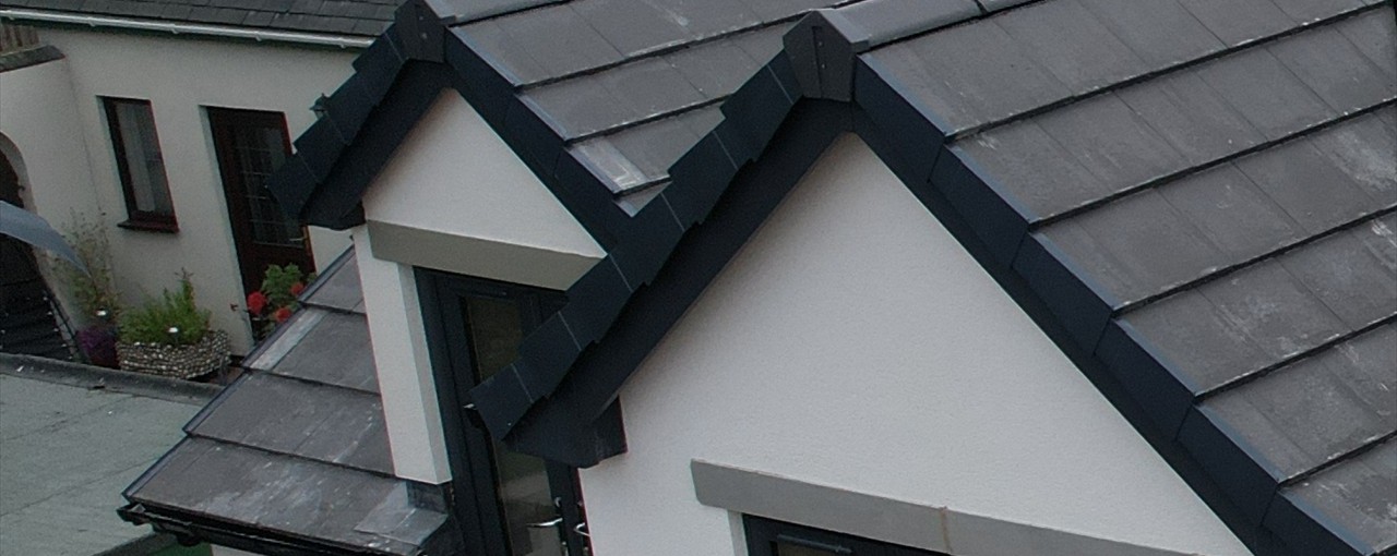 Professional Roofers