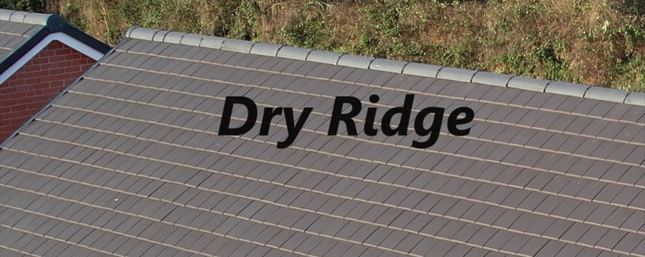 Ridge Repairs